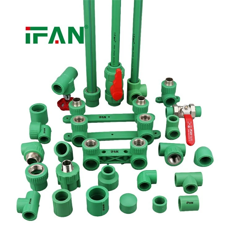IFAN PPR Pipeline Expert (2)