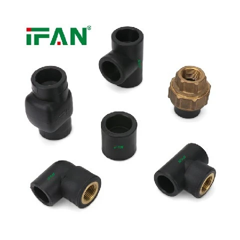 IFANPlus Black PPR Fittings suppliers