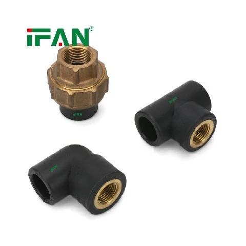 IFANPlus Black PPR Fittings high quality