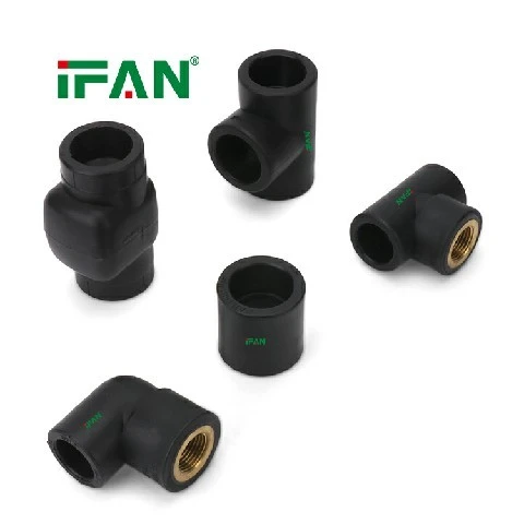 IFANPlus Black PPR Fittings factory