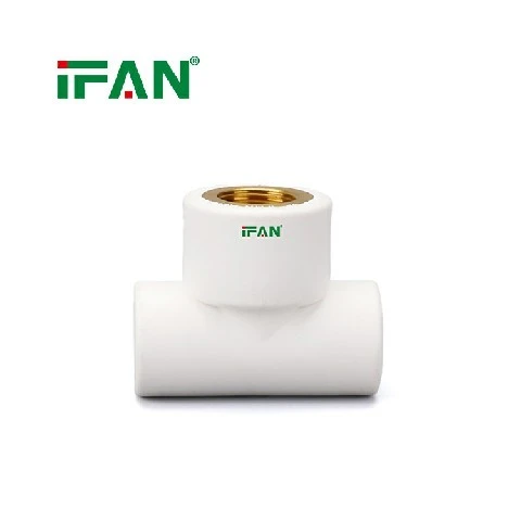 IFANPlus White PPR Female Tee best
